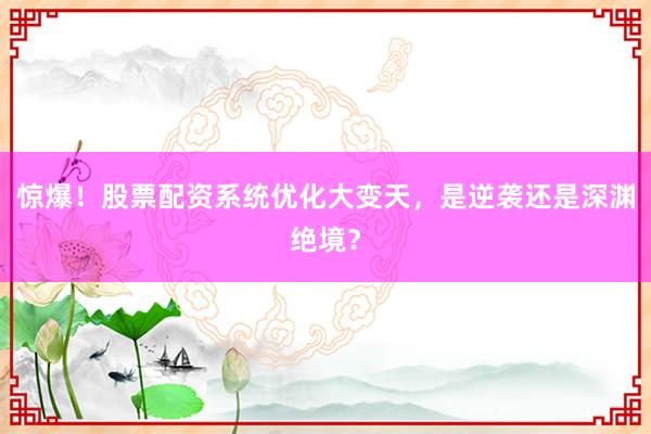 惊爆！股票配资系统优化大变天，是逆袭还是深渊绝境？