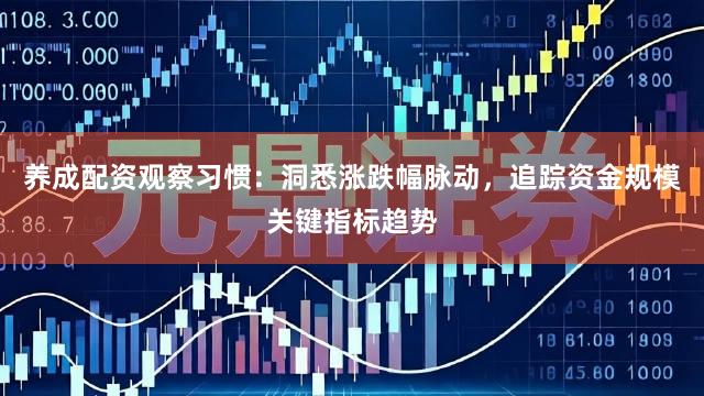 养成配资观察习惯：洞悉涨跌幅脉动，追踪资金规模关键指标趋势