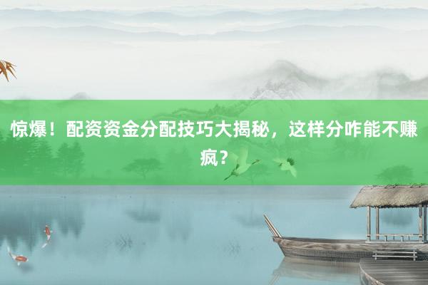 惊爆！配资资金分配技巧大揭秘，这样分咋能不赚疯？
