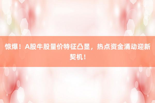 惊爆！A股牛股量价特征凸显，热点资金涌动迎新契机！