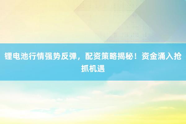 锂电池行情强势反弹，配资策略揭秘！资金涌入抢抓机遇