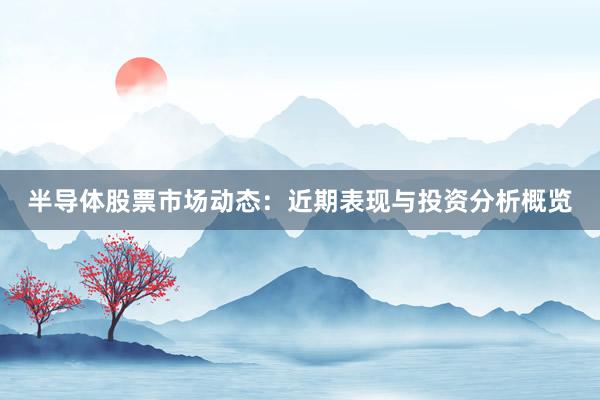 半导体股票市场动态：近期表现与投资分析概览