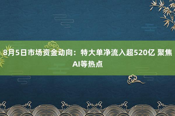 8月5日市场资金动向：特大单净流入超520亿 聚焦AI等热点