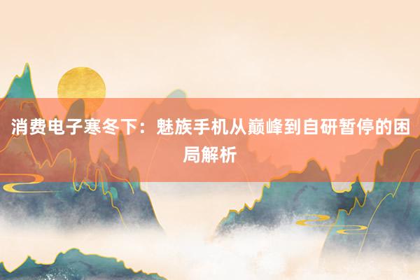 消费电子寒冬下：魅族手机从巅峰到自研暂停的困局解析