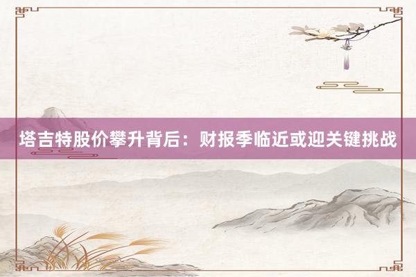 塔吉特股价攀升背后：财报季临近或迎关键挑战