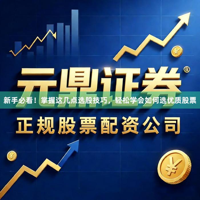新手必看！掌握这几点选股技巧，轻松学会如何选优质股票