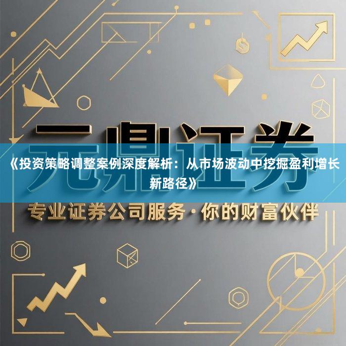 《投资策略调整案例深度解析：从市场波动中挖掘盈利增长新路径》