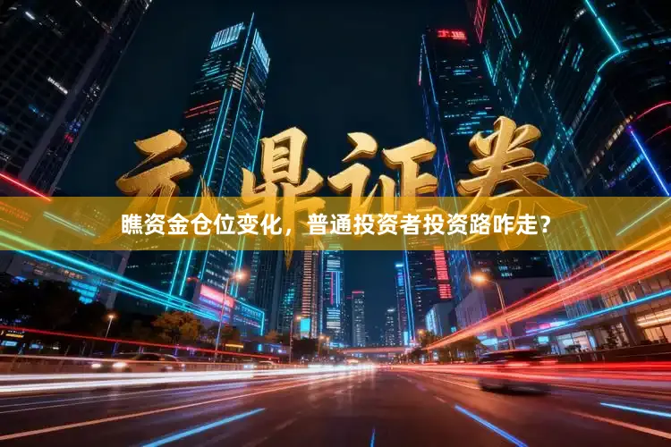瞧资金仓位变化，普通投资者投资路咋走？