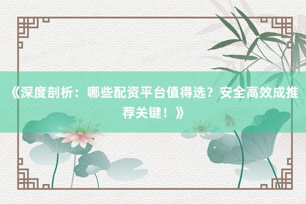 《深度剖析：哪些配资平台值得选？安全高效成推荐关键！》