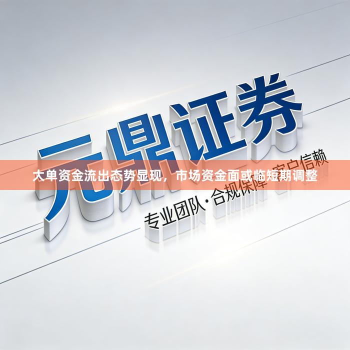 大单资金流出态势显现，市场资金面或临短期调整