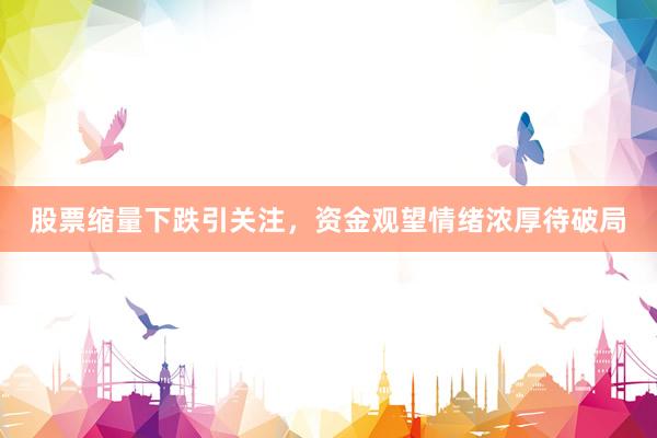 股票缩量下跌引关注，资金观望情绪浓厚待破局