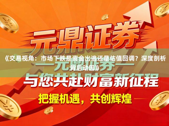 《交易视角：市场下跌是资金出逃还是估值回调？深度剖析背后动因》