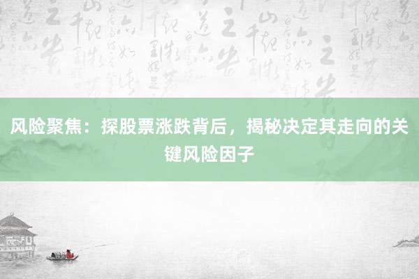 风险聚焦：探股票涨跌背后，揭秘决定其走向的关键风险因子