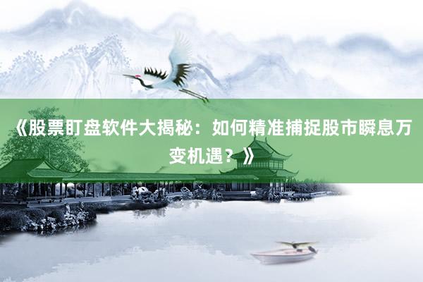 《股票盯盘软件大揭秘：如何精准捕捉股市瞬息万变机遇？》