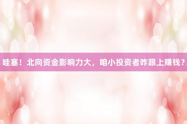 哇塞！北向资金影响力大，咱小投资者咋跟上赚钱？