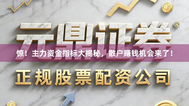 惊！主力资金指标大揭秘，散户赚钱机会来了！