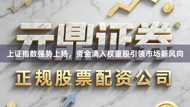 上证指数强势上扬，资金涌入权重股引领市场新风向