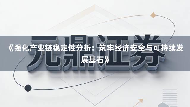 《强化产业链稳定性分析：筑牢经济安全与可持续发展基石》